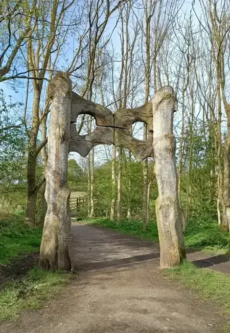 Local web design in Benton